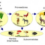 Caja para guardar ropa bebe interior