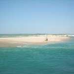 rioBarbate